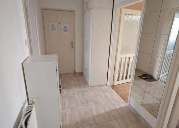 Domby 凯奇凯梅特